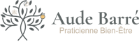 aude-web-logo